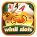 winli slots game