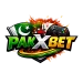 pakxbet